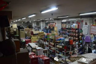 桃花綻放迎客來，秦人村落笑聲多——互聯網創新為鄉村旅鋪就“云端”致富路
