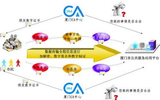 信息集團發(fā)揮信息化優(yōu)勢 打造惠民互聯(lián)網信息服務產品